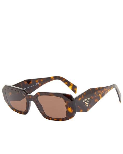 brown sunglasses prada|prada sunglasses tortoiseshell.